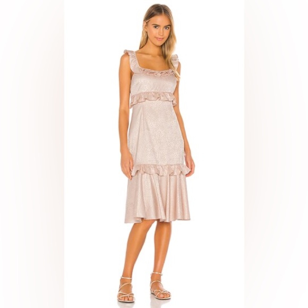 NWT Saylor Elegant Pink Ruffled Dress